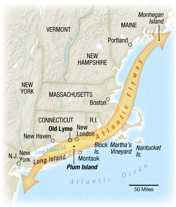 Atlantic Flyway map